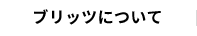 ブリッツについて